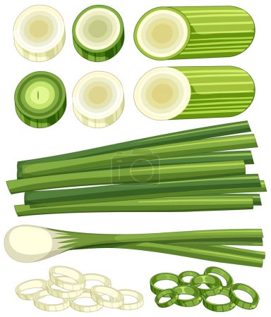 Illustration for Cartoon spring onion isolated illustration - Royalty Free Image