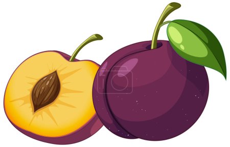 Illustration for Plum in whole and half piece illustration - Royalty Free Image