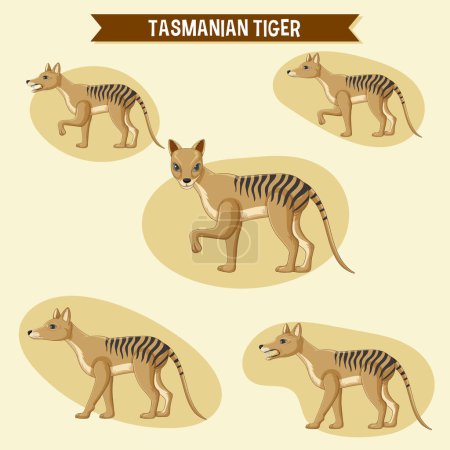 Illustration for A set of tasmanian tiger sticker set illustration - Royalty Free Image