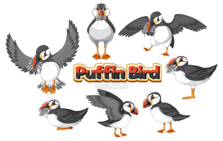 Téléchargez les illustrations : Set of puffin bird cartoon character in different poses illustration - en licence libre de droit