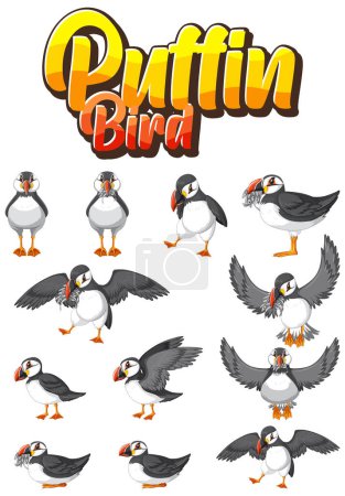 Illustration for Set of puffin bird cartoon character in different poses illustration - Royalty Free Image