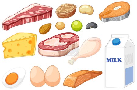 Illustration for Group of protein food illustration - Royalty Free Image