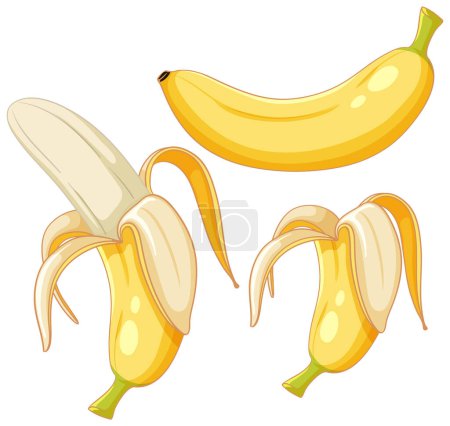 Téléchargez les illustrations : Ripe bananas peeled set illustration - en licence libre de droit