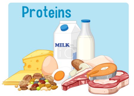 Téléchargez les illustrations : Group of protein food illustration - en licence libre de droit