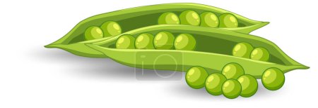 Téléchargez les illustrations : Pod of green peas on white background illustration - en licence libre de droit