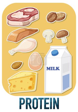Ilustración de Variedades de alimentos proteicos con ilustración de texto - Imagen libre de derechos
