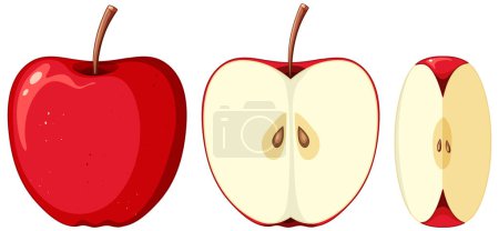 Ilustración de Set of apple fruit cartoon illustration - Imagen libre de derechos