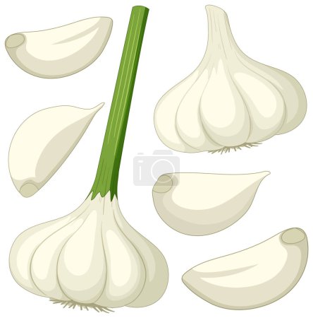 Ilustración de Garlic in cartoon style isolated illustration - Imagen libre de derechos