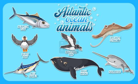 Téléchargez les illustrations : Illustration Ensemble d'animaux dans l'océan Atlantique - en licence libre de droit