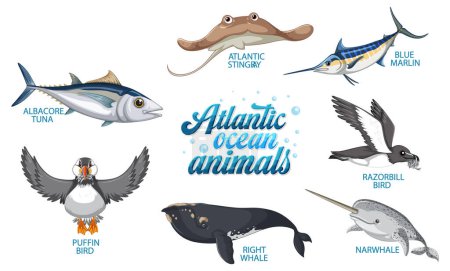 Téléchargez les illustrations : Illustration Ensemble d'animaux dans l'océan Atlantique - en licence libre de droit