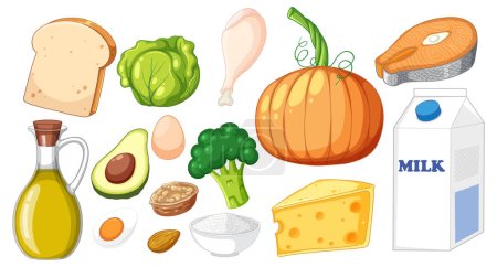 Ilustración de Principales grupos alimentarios macronutrientes vector ilustración - Imagen libre de derechos