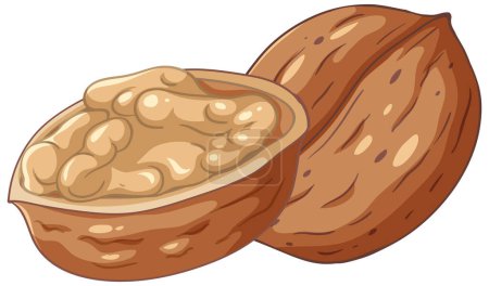 Ilustración de Isolated simple walnut cartoon illustration - Imagen libre de derechos