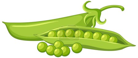 Guisantes verdes en una ilustración de vaina