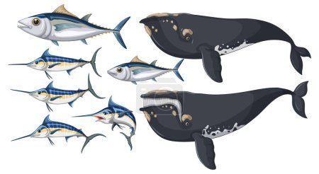 Ilustración de Peces de Albacora y ballena de Bowhead e ilustración del marlin azul atlántico - Imagen libre de derechos