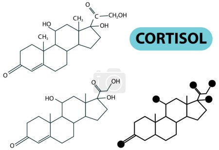 Ilustración de Molecular structure of cortisol illustration - Imagen libre de derechos