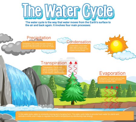 Illustration for The water cycle diagram for science education illustration - Royalty Free Image