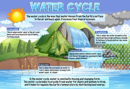 Téléchargez les illustrations : Water Cycle for Science Education illustration - en licence libre de droit