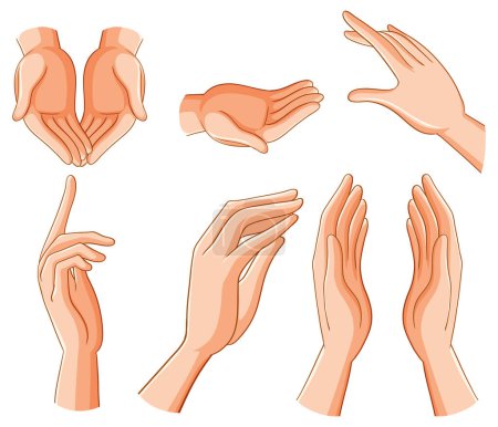 Ilustración de Set of Human Hands in Different Positions and Gestures illustration - Imagen libre de derechos