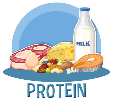 Variedades de alimentos proteicos con ilustración de texto