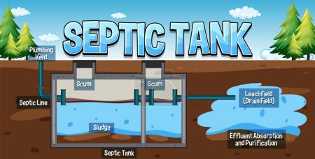 Illustration for Septic tank system diagram illustration - Royalty Free Image