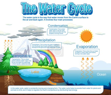 Ilustración de The water cycle diagram for science education illustration - Imagen libre de derechos