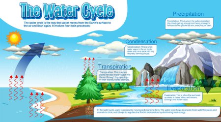 Illustration for The water cycle diagram for science education illustration - Royalty Free Image