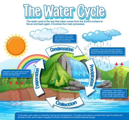 Schéma du cycle de l'eau pour l'enseignement des sciences illustration