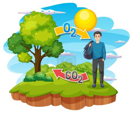 Téléchargez les illustrations : Schéma du cycle de l'oxygène pour l'enseignement des sciences illustration - en licence libre de droit