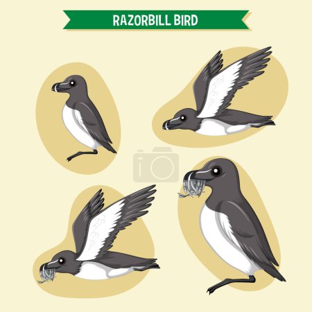 Téléchargez les illustrations : Razorbill oiseaux personnage de dessin animé dans différentes poses illustration - en licence libre de droit