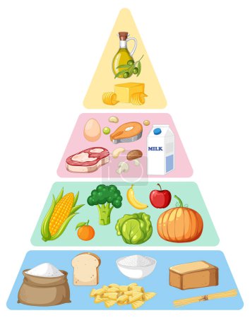 Principaux groupes alimentaires macronutriments illustration vectorielle