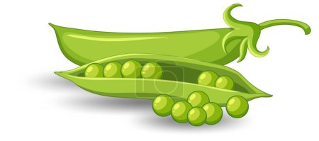 Illustration for Pod of green peas on white background illustration - Royalty Free Image