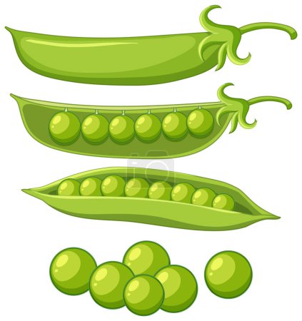 Illustration for Isolated green peas cartoon illustration - Royalty Free Image