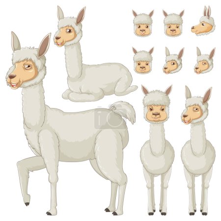 Illustration for Set of alpaca cartoon character with head and facial expression illustration - Royalty Free Image