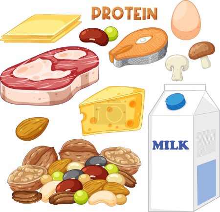 Illustration for Varieties of protein food with text illustration - Royalty Free Image