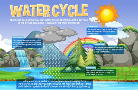 Illustration for Water Cycle for Science Education illustration - Royalty Free Image