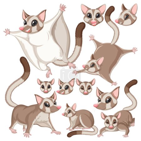 Illustration for Set of sugar glider character with head and facial expression illustration - Royalty Free Image