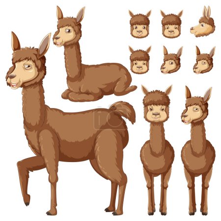 Ilustración de Conjunto de personajes de dibujos animados de alpaca con ilustración de la cabeza y la expresión facial - Imagen libre de derechos