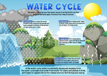 Ilustración de Water Cycle for Science Education illustration - Imagen libre de derechos