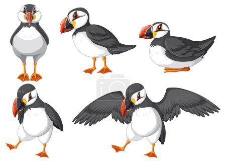 Téléchargez les illustrations : Puffin birds in cartoon style illustration - en licence libre de droit