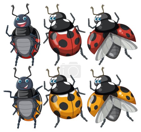 Illustration for Set of ladybug cartoon character illustration - Royalty Free Image