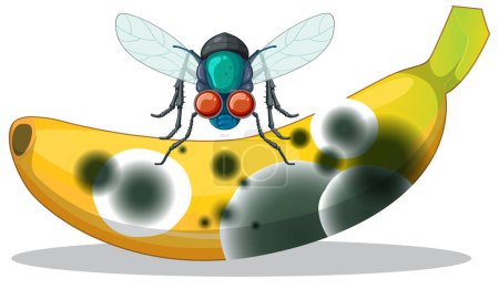 Illustration for Decompose banana with smiley flies illustration - Royalty Free Image