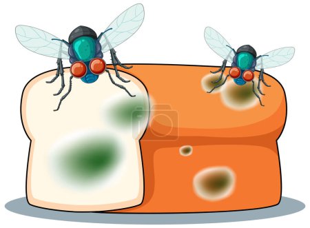 Ilustración de Descomponer el pan con ilustración de mosca - Imagen libre de derechos
