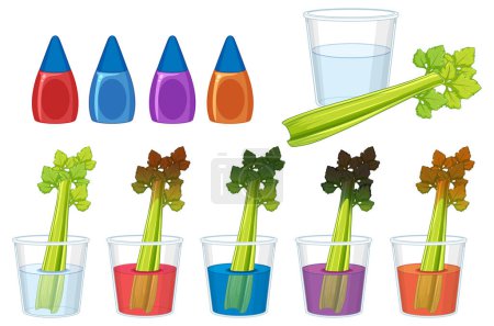 Illustration for Learn about science experiments using celery stem and color - Royalty Free Image