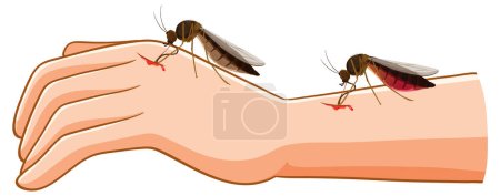 Illustration for Vector cartoon illustration of a mosquito biting a human arm and extracting blood - Royalty Free Image