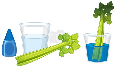 Illustration for Illustration of a biology experiment using celery to demonstrate color change - Royalty Free Image