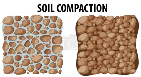 Téléchargez les illustrations : Diagramme illustré comparant la densité de compactage du sol pour l'éducation scientifique - en licence libre de droit