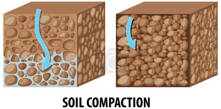 Téléchargez les photos : Diagramme illustré comparant la densité de compactage du sol pour l'apprentissage des sciences - en image libre de droit
