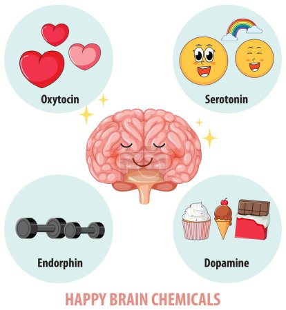 Ilustración de Ilustración de químicos cerebrales felices en un cerebro humano sano - Imagen libre de derechos