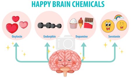Illustration for Illustration of happy brain chemicals in human anatomy - Royalty Free Image