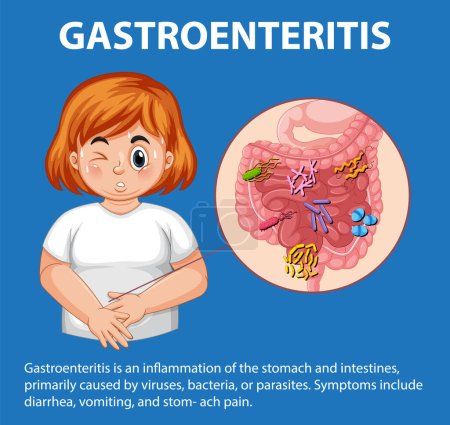 Photo for Cartoon infographic depicting symptoms of gastroenteritis in a chubby woman - Royalty Free Image
